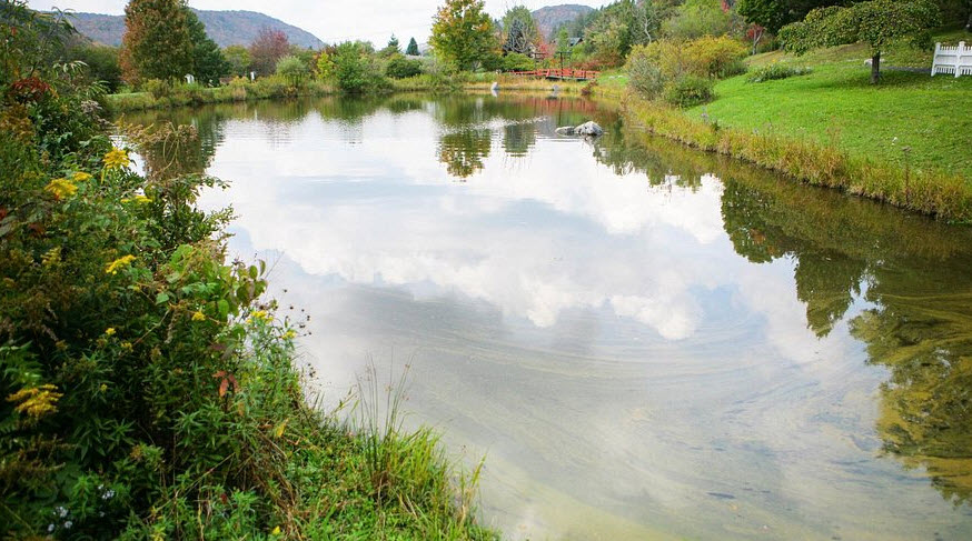 Nannen Arboretum, United States